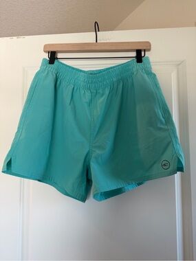 O'Neill Turquoise Swim Shorts with Hyperfreak Label